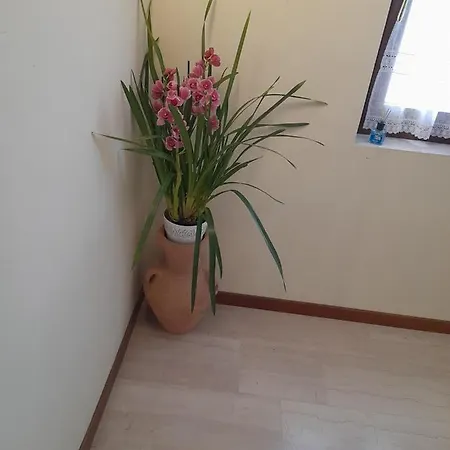 La Casetta Sui Colli Appartement *