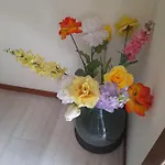アパート La Casetta Sui Colli Perarolo